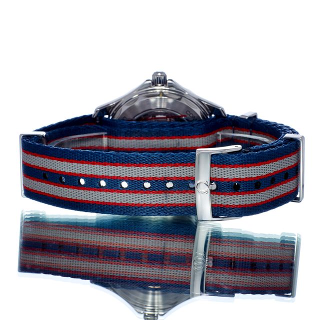 Omega Seamaster 300m 212.32.41.20.04.001 Image 3